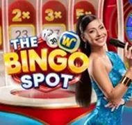 The Bingo Spot